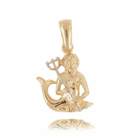 Złoty znak zodiaku Z2 WODNIK